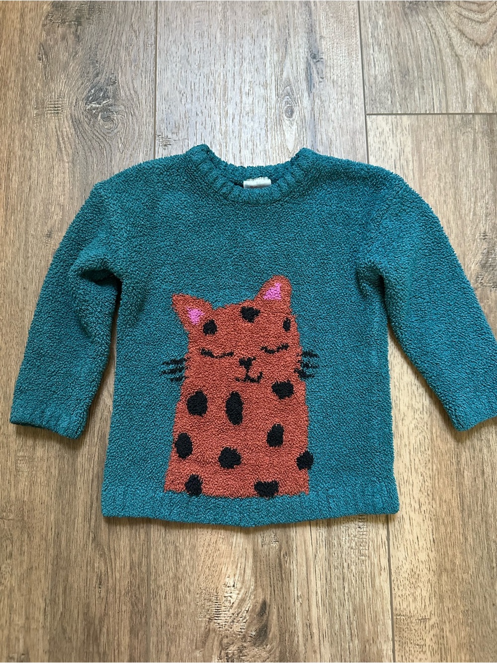 Hanna Andersson Girl’s Sweater, Cat, Textured, Teal, Cozy, Winter, 3T